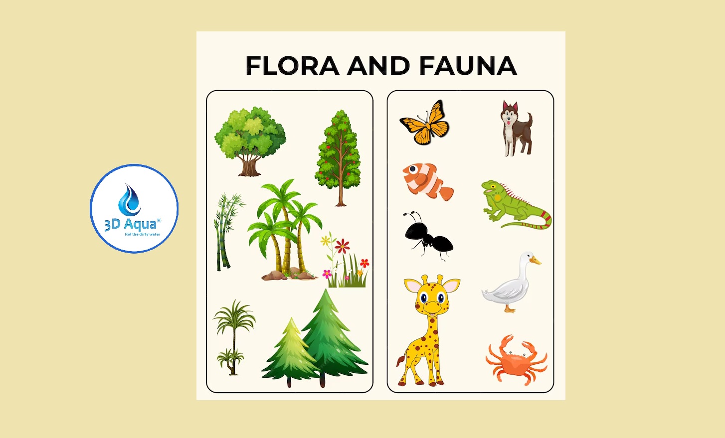 flora and fauna