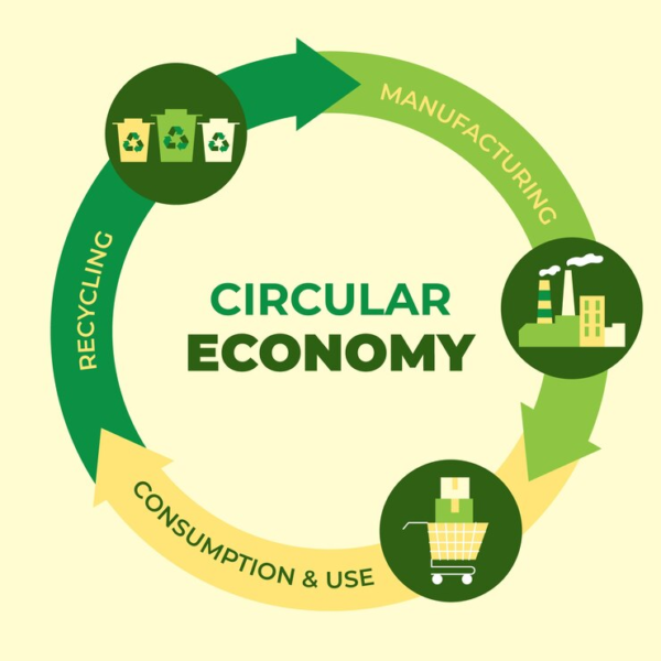 The Importance of Waste Management - 3D Aqua