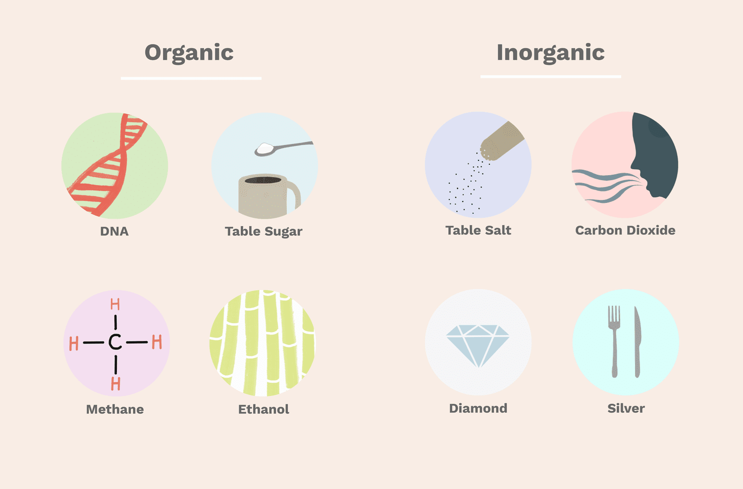 Organic and Inorganic Compounds Found in Water