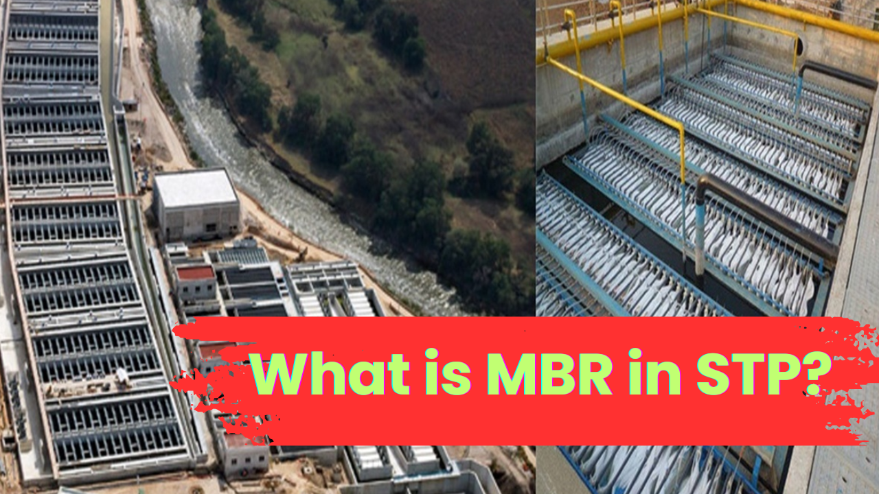 What is MBR in STP