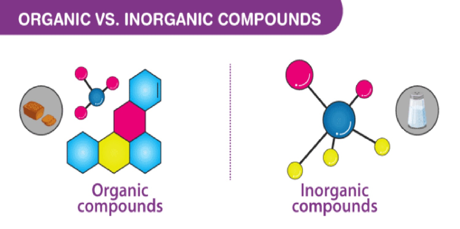 Inorganic Compounds Water Understanding Organic and Inorganic Compounds Found in Water - 3D Aqua