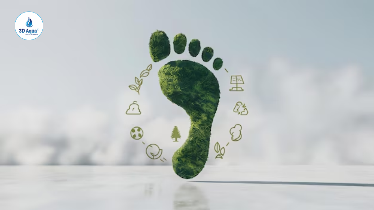 Reduce Your Environmental Footprint