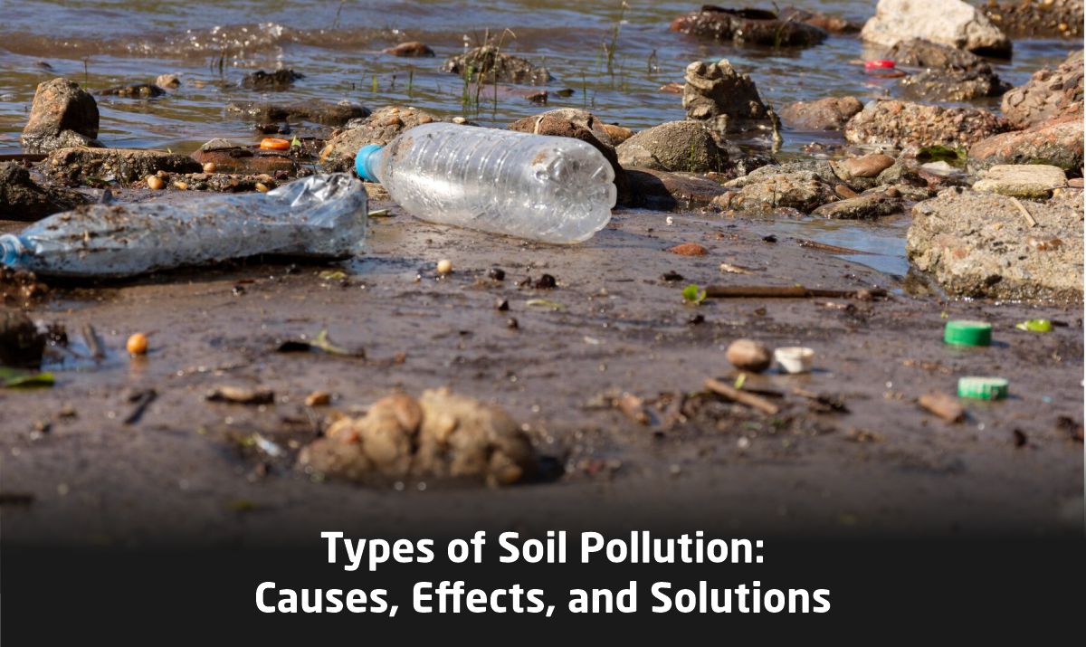Types of Soil Pollution: Causes, Effects, and Solutions