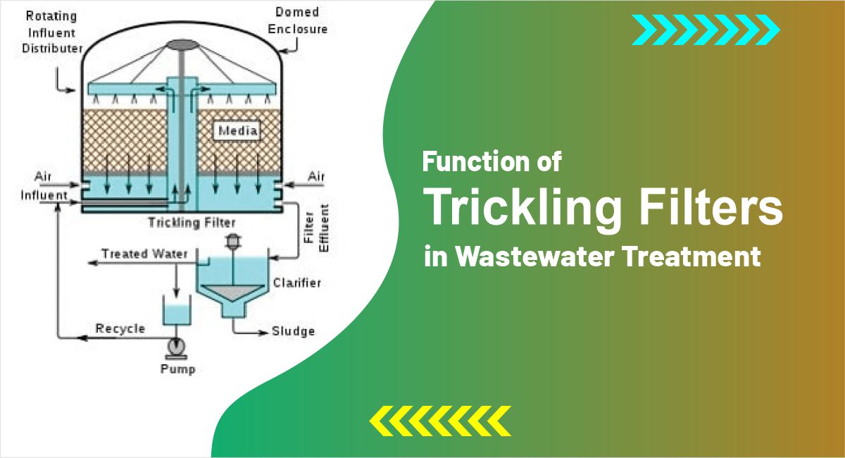 Function of Trickling Filters in Wastewater Treatment