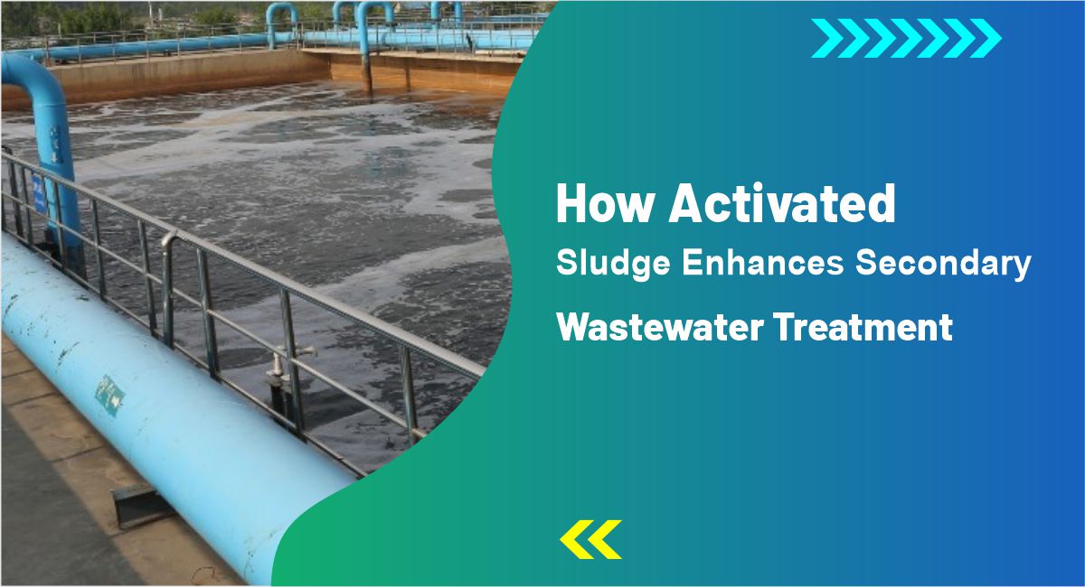 How Activated Sludge Enhances Secondary Wastewater Treatment