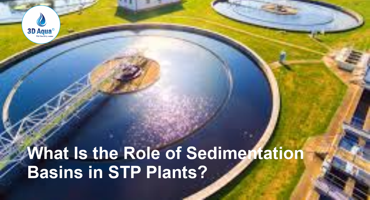 What Is the Role of Sedimentation Basins in STP Plants?