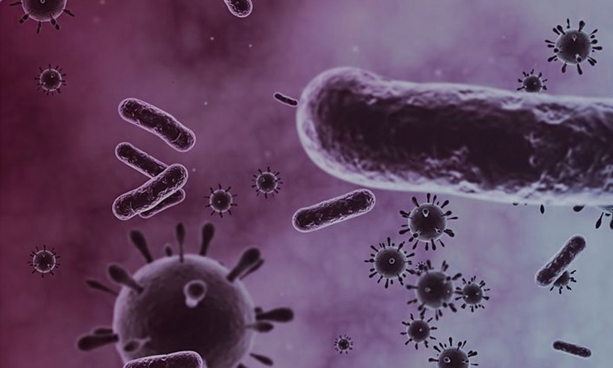 Role of Bacteria in Sewage Treatment Explained