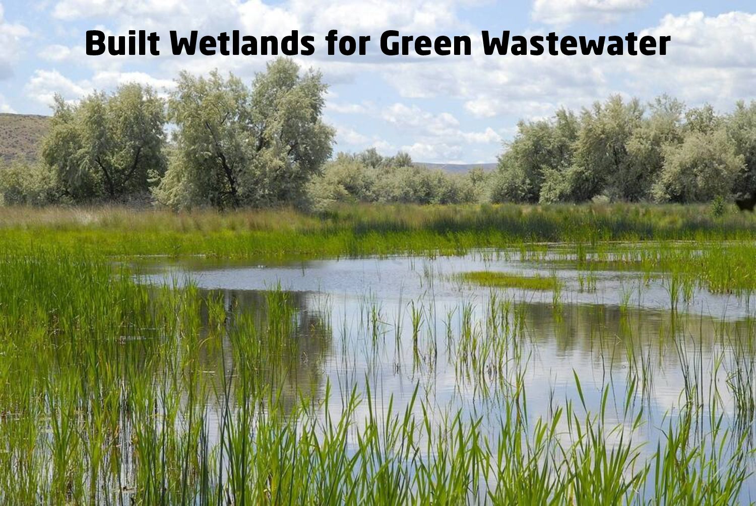 Built Wetlands for Green Wastewater